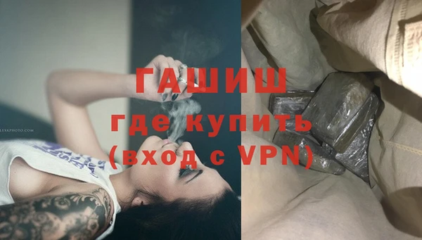 гидра Новозыбков