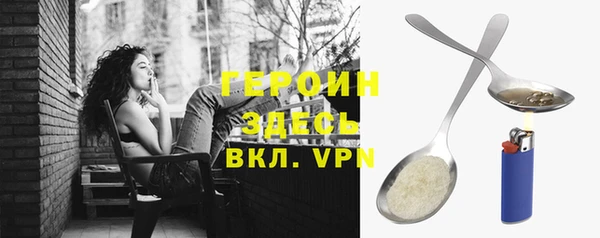 шишки Новодвинск