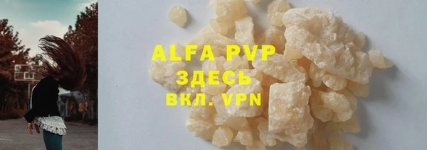 шишки Новодвинск