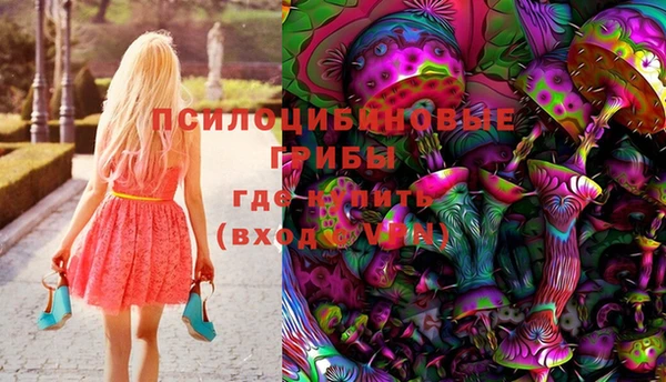 шишки Новодвинск