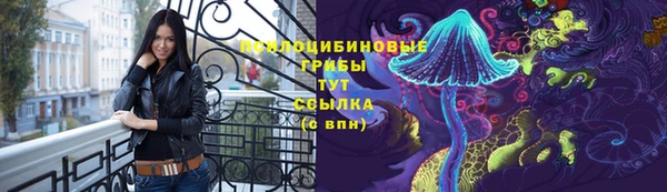 гидра Новозыбков