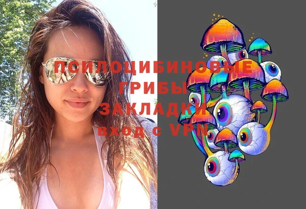 эйфоретик Новокубанск
