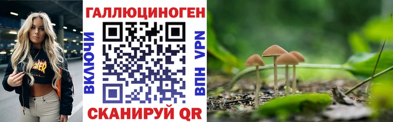 Галлюциногенные грибы прущие грибы  Кизляр 